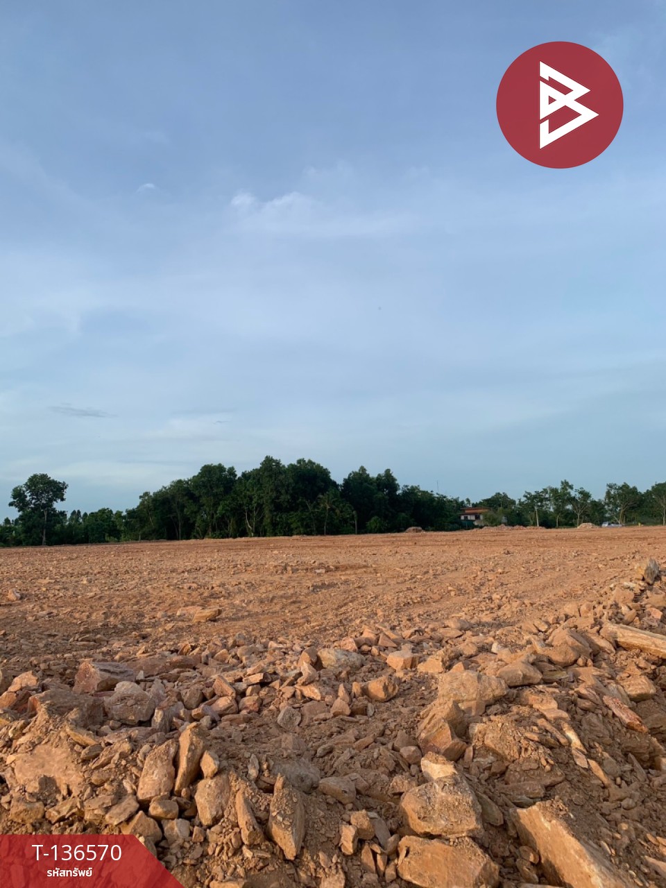 ขายที่ดิน เนื้อที่ 2 งาน บ้านค่าย ระยอง 1