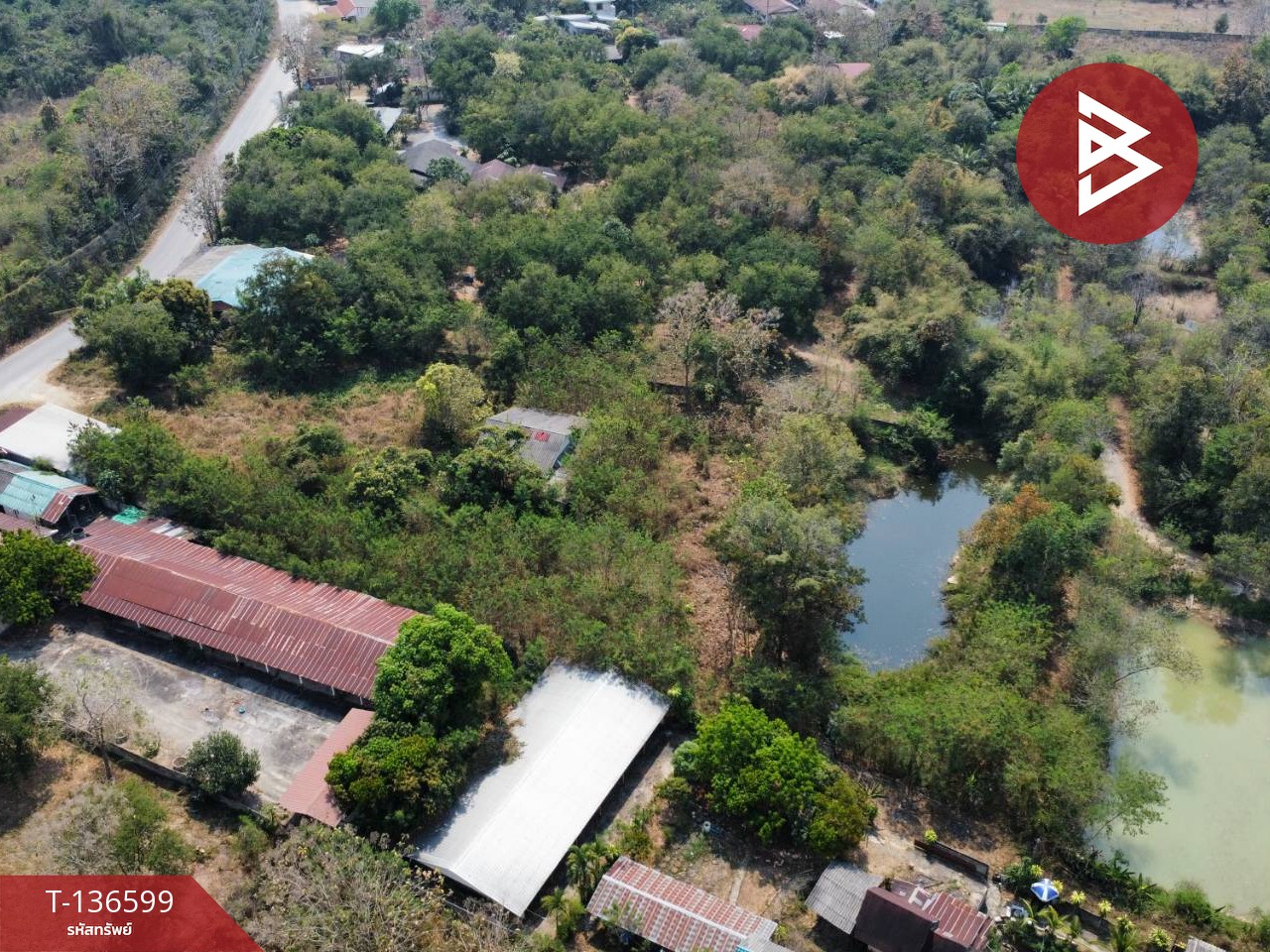 ขายที่ดิน เนื้อที่ 4 ไร่ 1 งาน 43 ตร.วา ร้องกวาง แพร่ 9