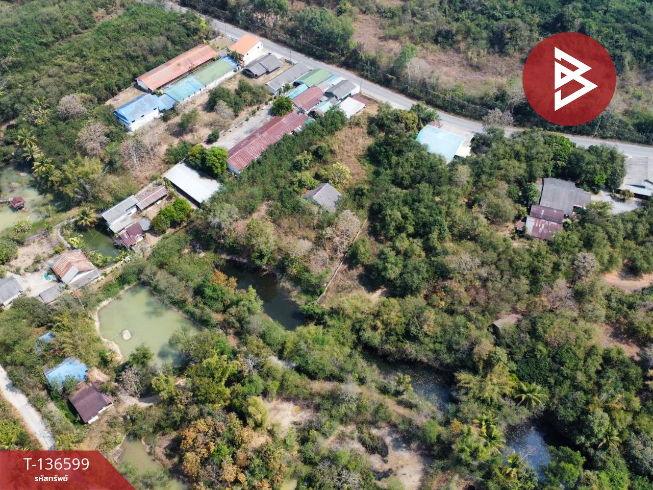 ขายที่ดิน เนื้อที่ 4 ไร่ 1 งาน 43 ตร.วา ร้องกวาง แพร่ 7