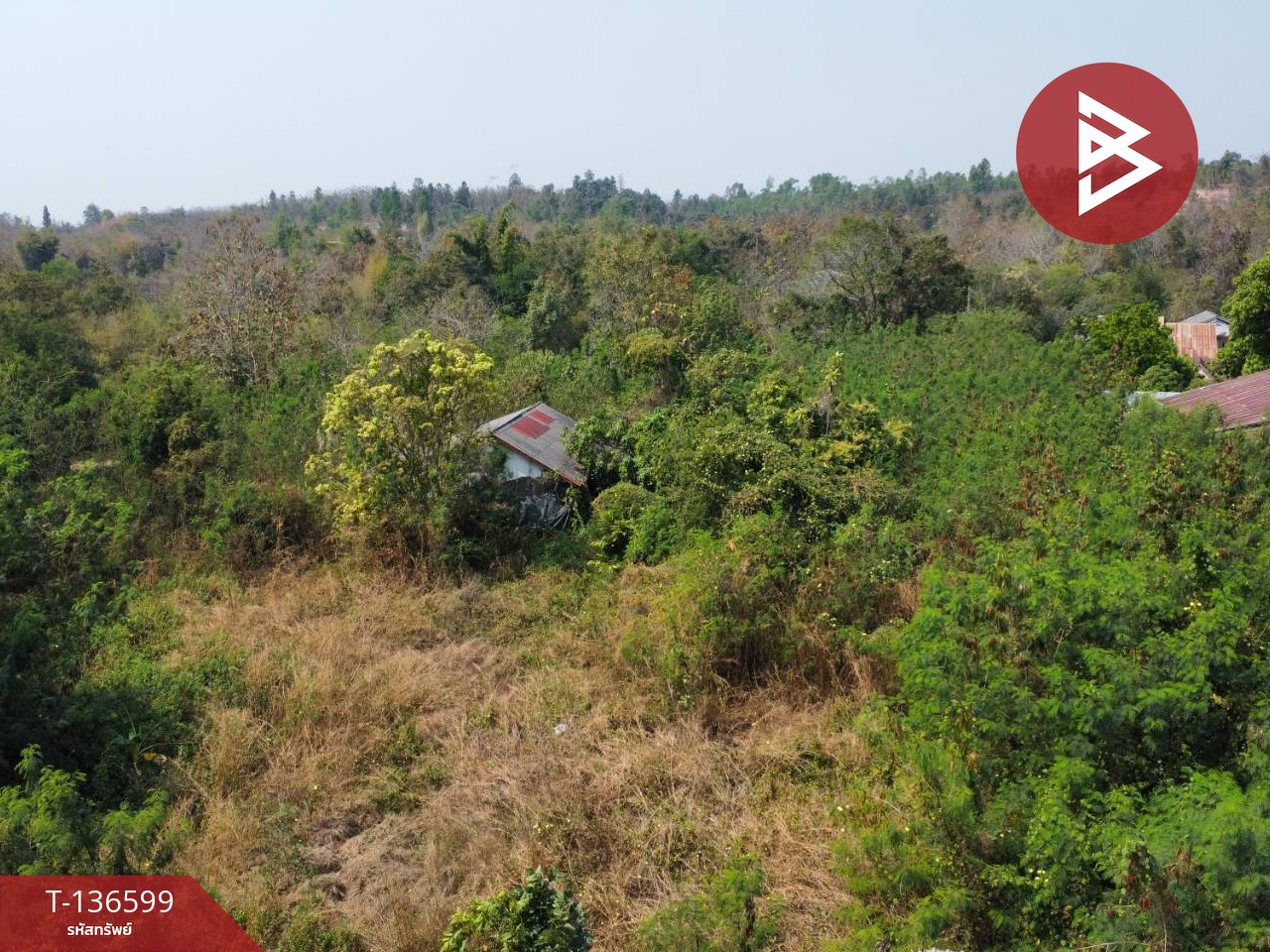 ขายที่ดิน เนื้อที่ 4 ไร่ 1 งาน 43 ตร.วา ร้องกวาง แพร่ 6