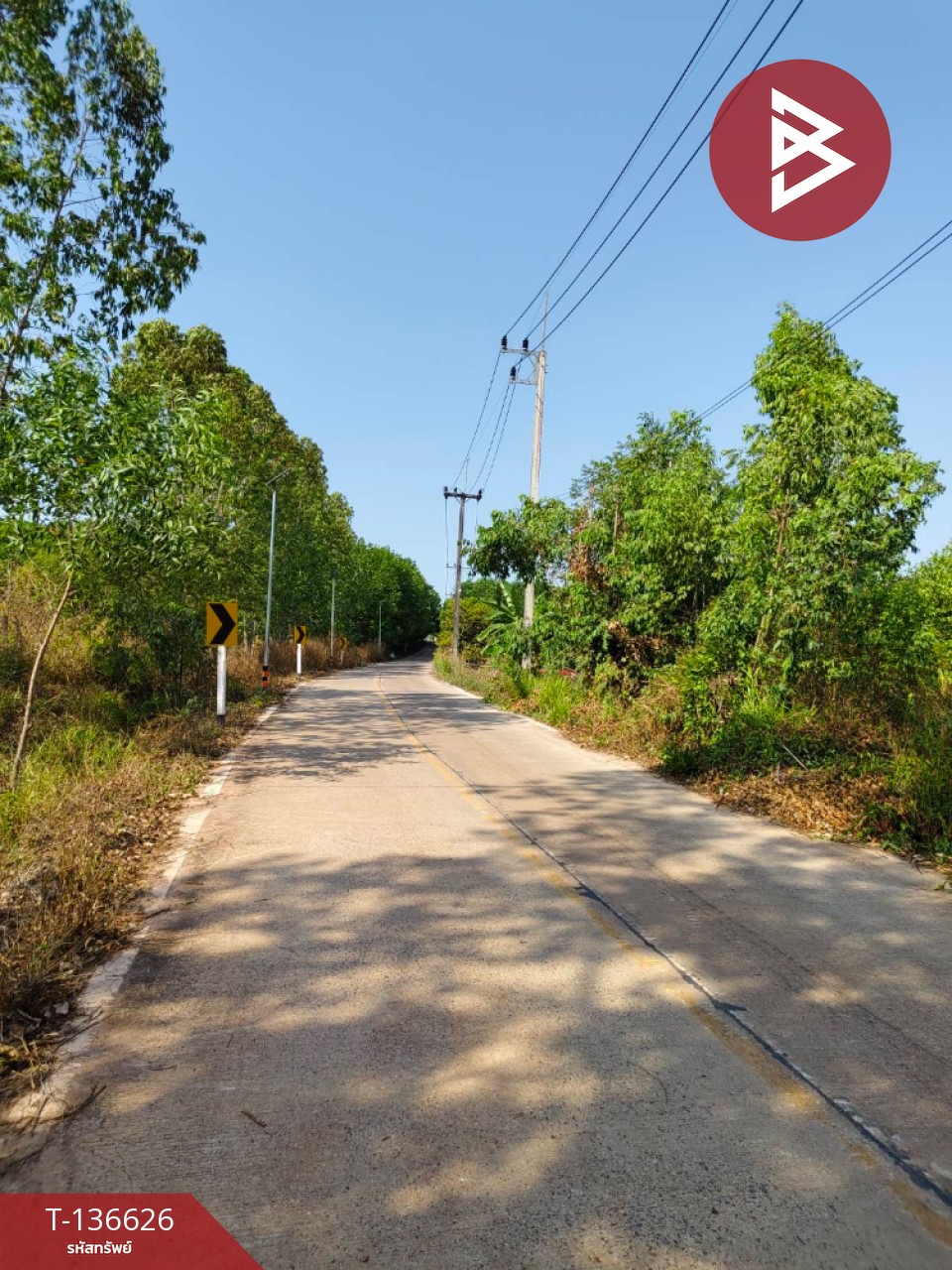 ขายบ้านเดี่ยวพร้อมที่ดิน เนื้อที่ 9 ไร่ 3 งาน 7 ตร.วา นาดี ปราจีนบุรี 11