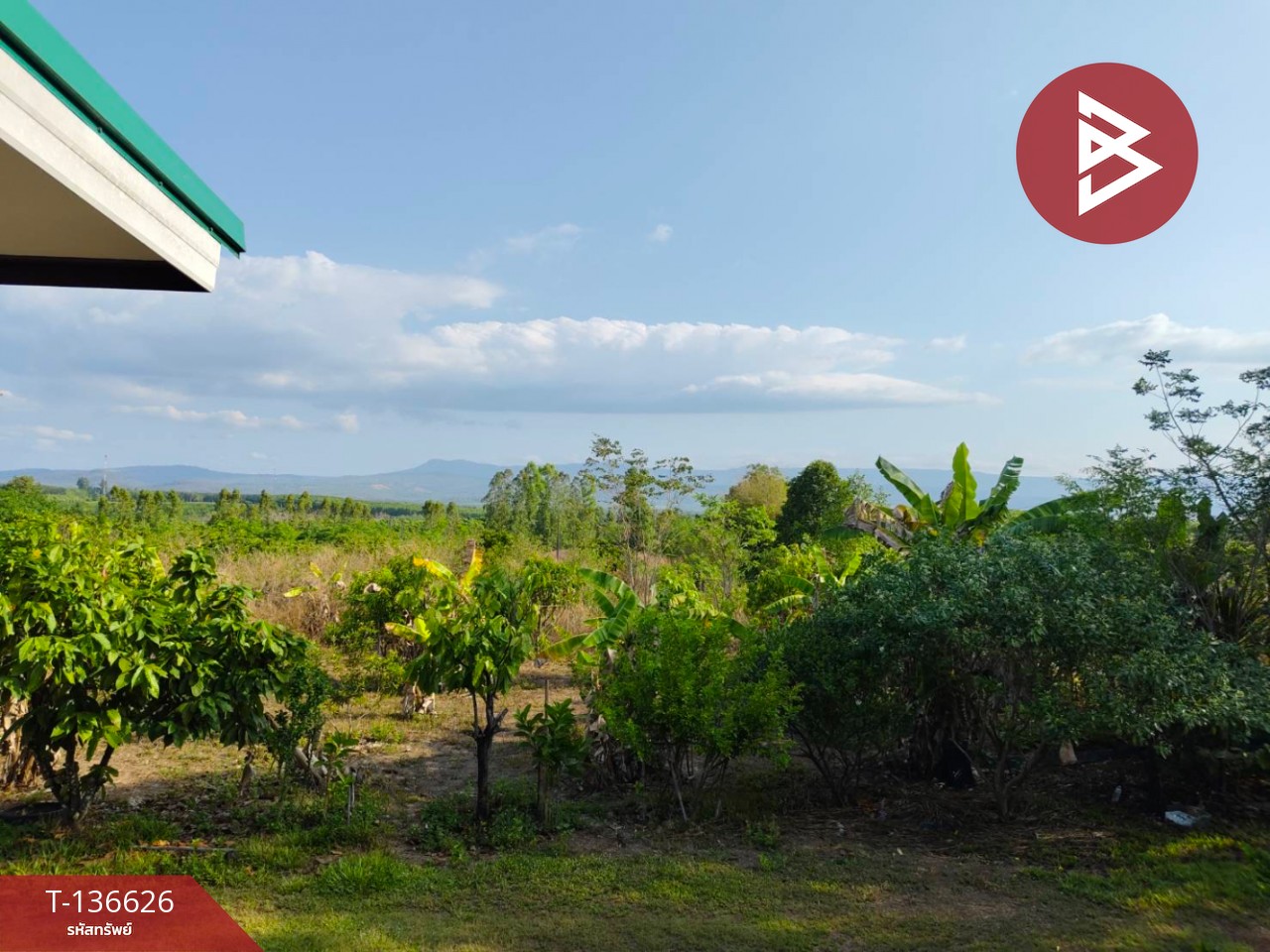 ขายบ้านเดี่ยวพร้อมที่ดิน เนื้อที่ 9 ไร่ 3 งาน 7 ตร.วา นาดี ปราจีนบุรี 4