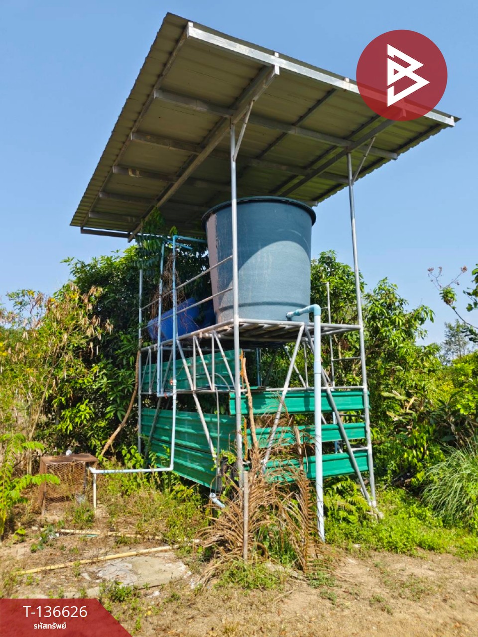 ขายบ้านเดี่ยวพร้อมที่ดิน เนื้อที่ 9 ไร่ 3 งาน 7 ตร.วา นาดี ปราจีนบุรี 13