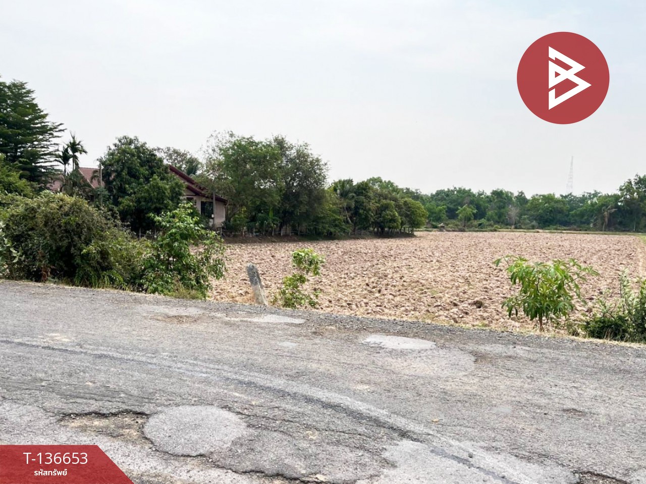 ขายด่วนที่ดินเปล่า เนื้อที่ 4 ไร่ 2 งาน 80.0 ตารางวา ท่าสว่าง สุรินทร์ 8