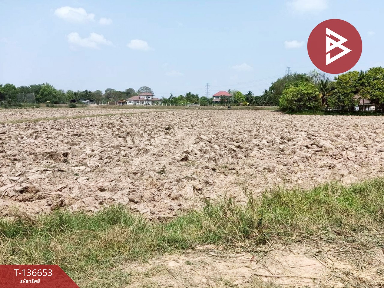 ขายด่วนที่ดินเปล่า เนื้อที่ 4 ไร่ 2 งาน 80.0 ตารางวา ท่าสว่าง สุรินทร์ 4