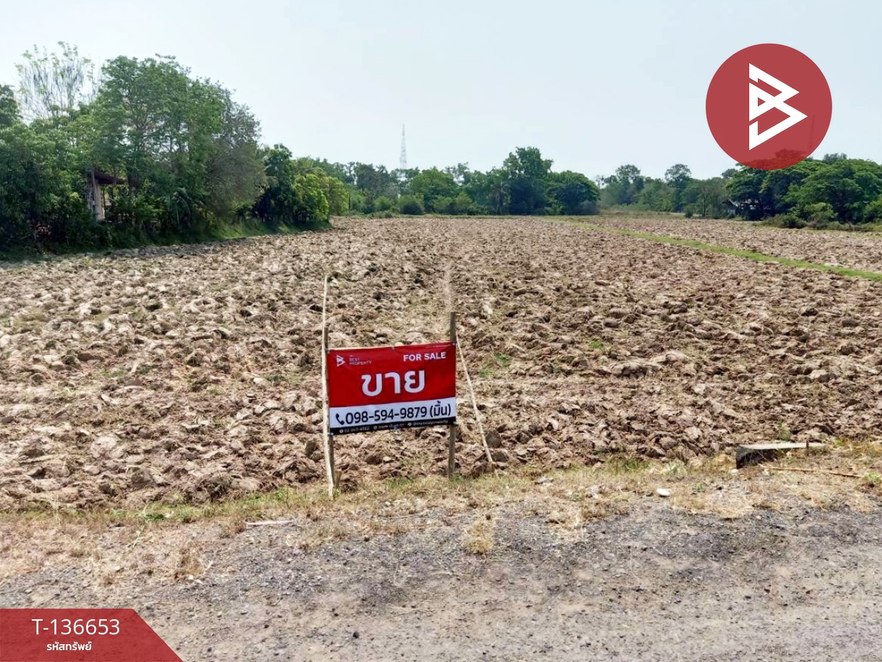 ขายด่วนที่ดินเปล่า เนื้อที่ 4 ไร่ 2 งาน 80.0 ตารางวา ท่าสว่าง สุรินทร์ 5