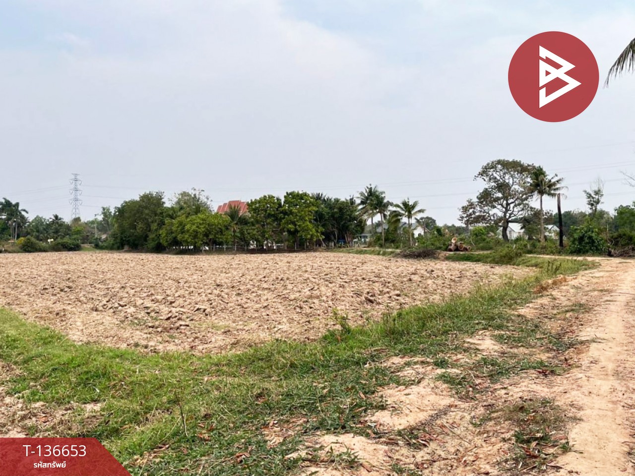 ขายด่วนที่ดินเปล่า เนื้อที่ 4 ไร่ 2 งาน 80.0 ตารางวา ท่าสว่าง สุรินทร์ 2