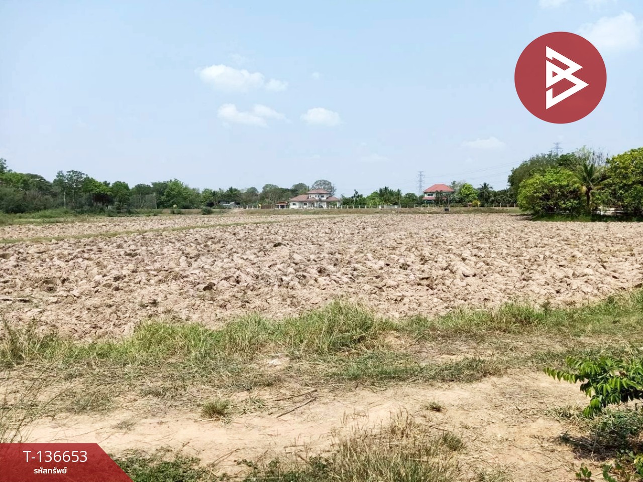 ขายด่วนที่ดินเปล่า เนื้อที่ 4 ไร่ 2 งาน 80.0 ตารางวา ท่าสว่าง สุรินทร์ 1