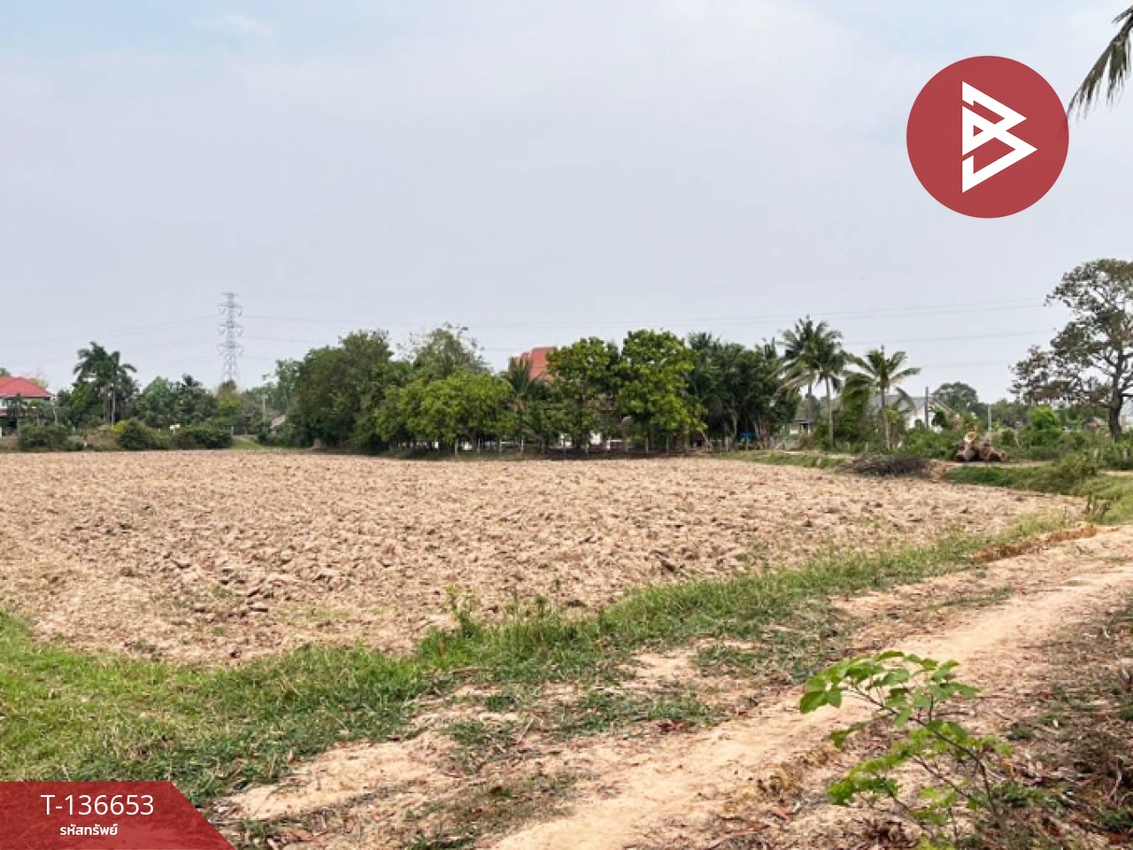 ขายด่วนที่ดินเปล่า เนื้อที่ 4 ไร่ 2 งาน 80.0 ตารางวา ท่าสว่าง สุรินทร์ 3