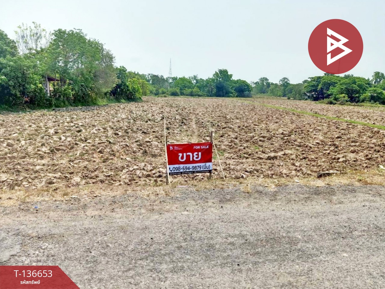 ขายด่วนที่ดินเปล่า เนื้อที่ 4 ไร่ 2 งาน 80.0 ตารางวา ท่าสว่าง สุรินทร์ 6