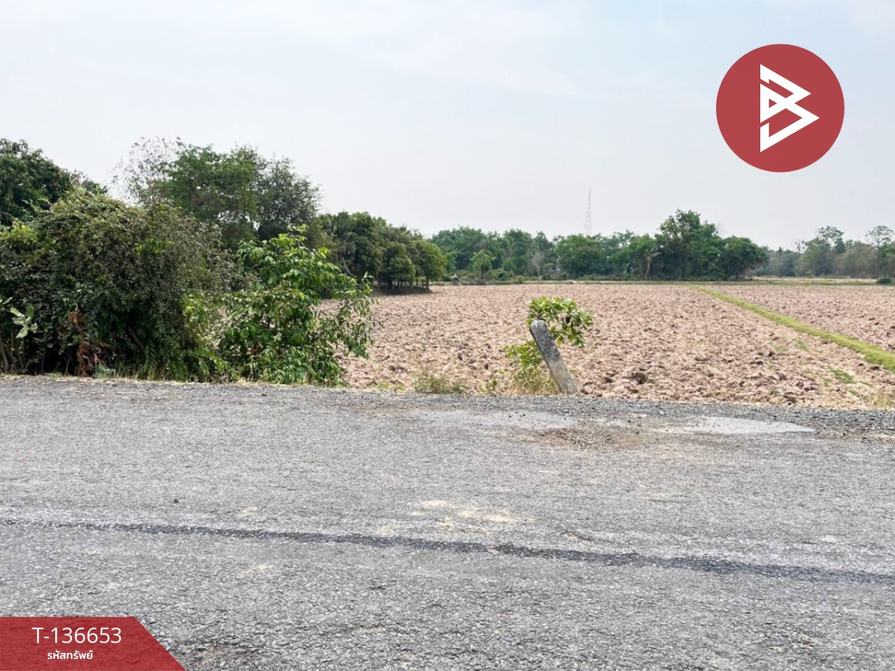 ขายด่วนที่ดินเปล่า เนื้อที่ 4 ไร่ 2 งาน 80.0 ตารางวา ท่าสว่าง สุรินทร์ 7