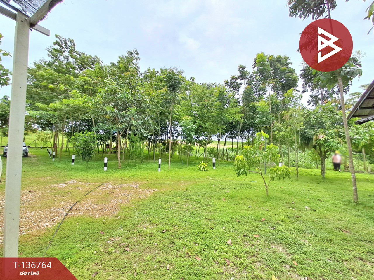 ขายบ้านเดี่ยวพร้อมที่ดิน เนื้อที่ 1 ไร่ ต.หนองรี อ.บ่อพลอย จ.กาญจนบุรี 11