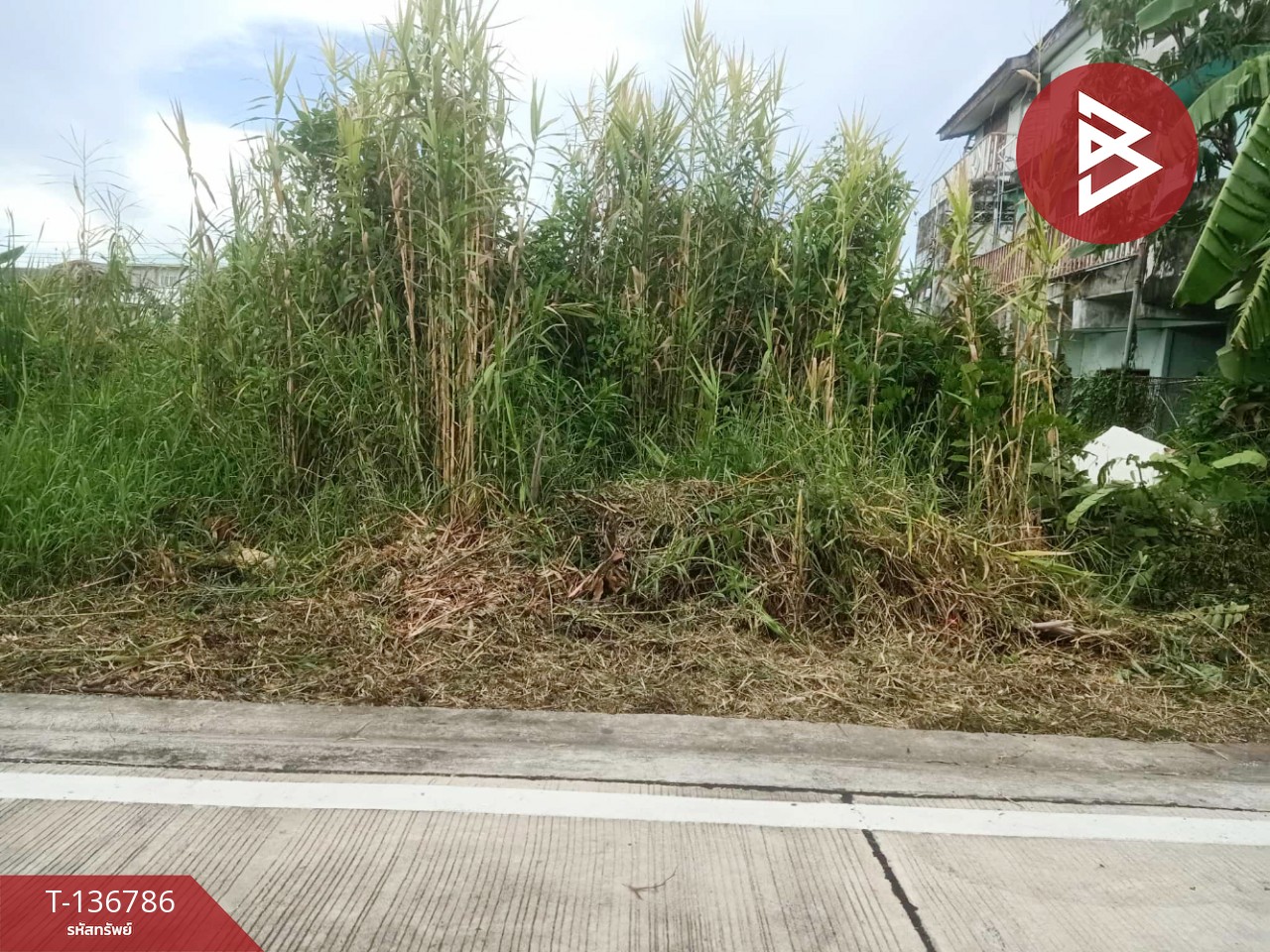 ขายที่ดินเเปล่า เนื้อที่ 213 ตารางวา พื้นที่สีม่วง พระสมุทรเจดีย์ สมุทรปราการ 1