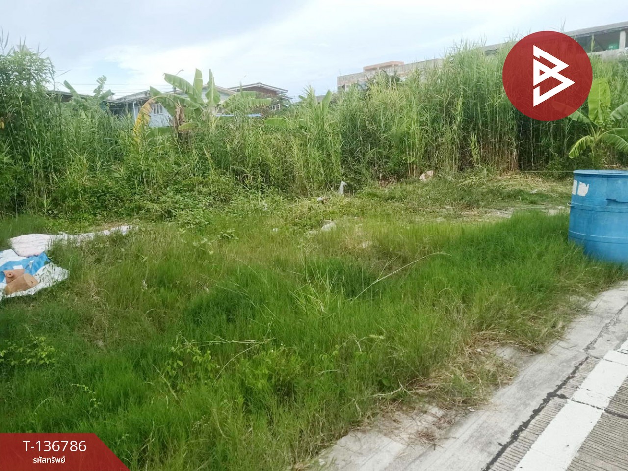 ขายที่ดินเเปล่า เนื้อที่ 213 ตารางวา พื้นที่สีม่วง พระสมุทรเจดีย์ สมุทรปราการ 3