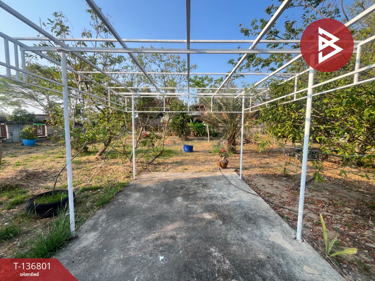 ขายบ้านเดี่ยวพร้อมที่ดิน เนื้อที่ 1 ไร่ 55 ตารางวา บางสมัคร บางปะกง ฉะเชิงเทรา 3