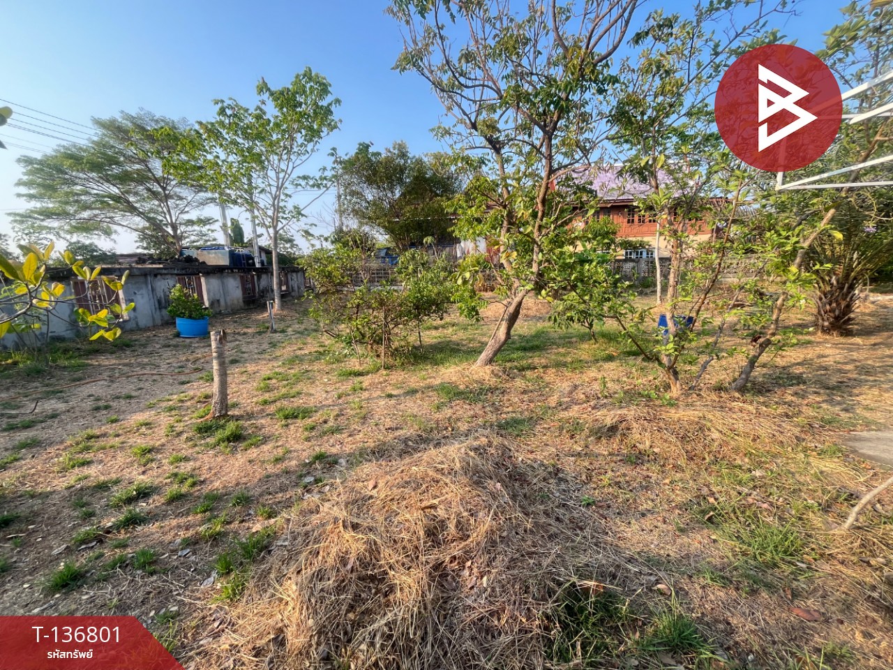 ขายบ้านเดี่ยวพร้อมที่ดิน เนื้อที่ 1 ไร่ 55 ตารางวา บางสมัคร บางปะกง ฉะเชิงเทรา 6