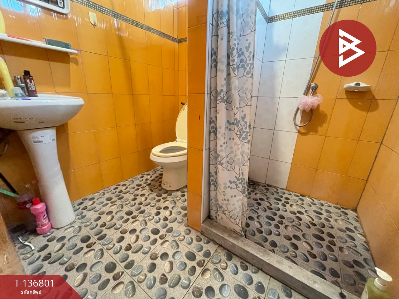 ขายบ้านเดี่ยวพร้อมที่ดิน เนื้อที่ 1 ไร่ 55 ตารางวา บางสมัคร บางปะกง ฉะเชิงเทรา 11