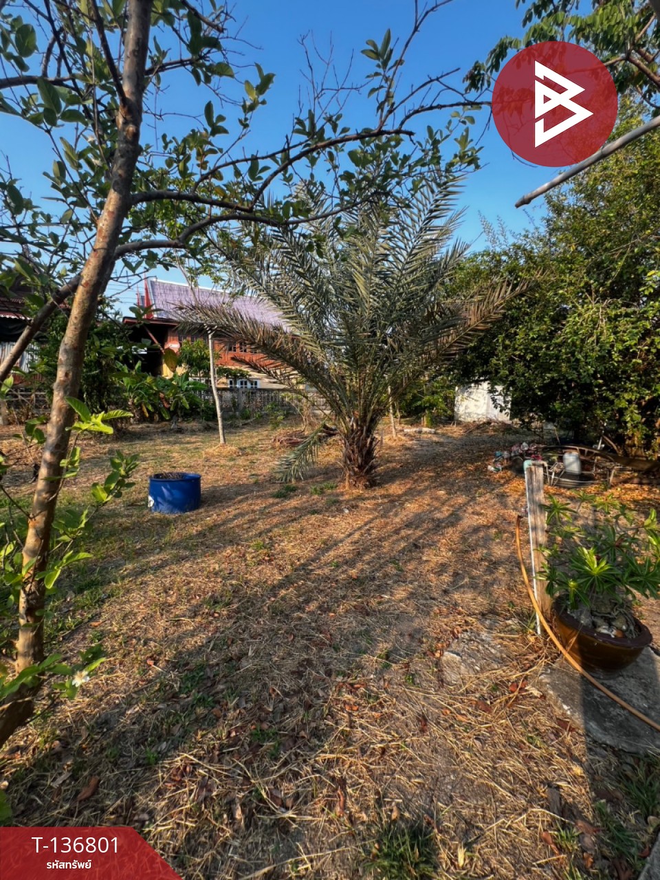 ขายบ้านเดี่ยวพร้อมที่ดิน เนื้อที่ 1 ไร่ 55 ตารางวา บางสมัคร บางปะกง ฉะเชิงเทรา 14