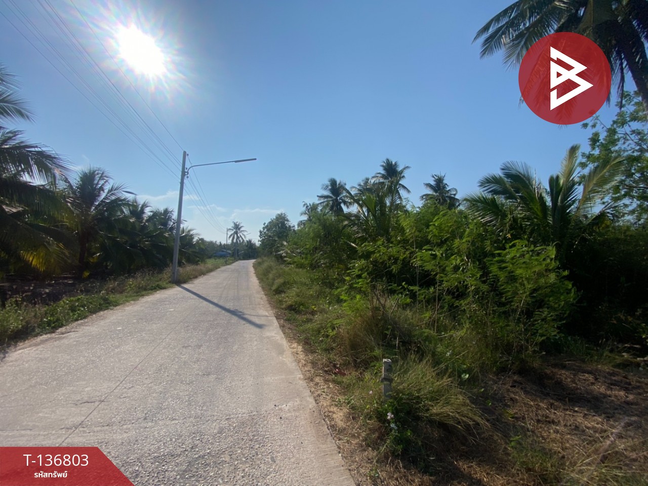 ขายที่ดินเปล่า เนื้อที่ 1 งาน 96.9 ตารางวา อัมพวา สมุทรสงคราม 9