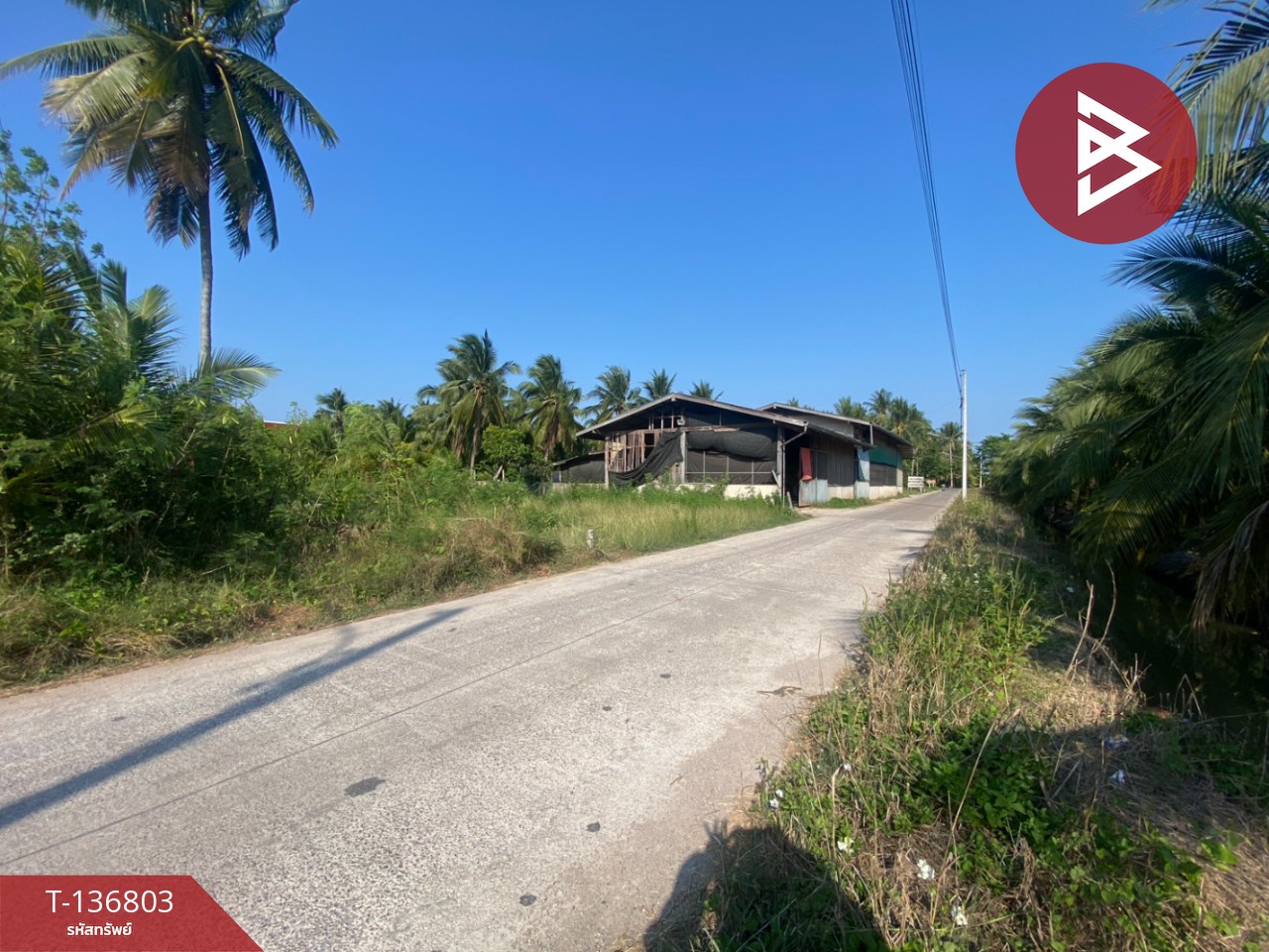 ขายที่ดินเปล่า เนื้อที่ 1 งาน 96.9 ตารางวา อัมพวา สมุทรสงคราม 10