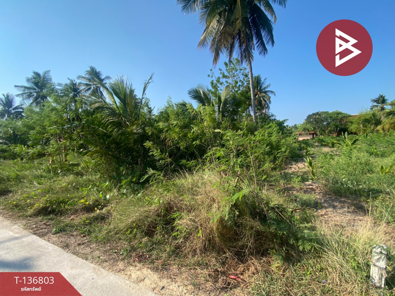 ขายที่ดินเปล่า เนื้อที่ 1 งาน 96.9 ตารางวา อัมพวา สมุทรสงคราม 11