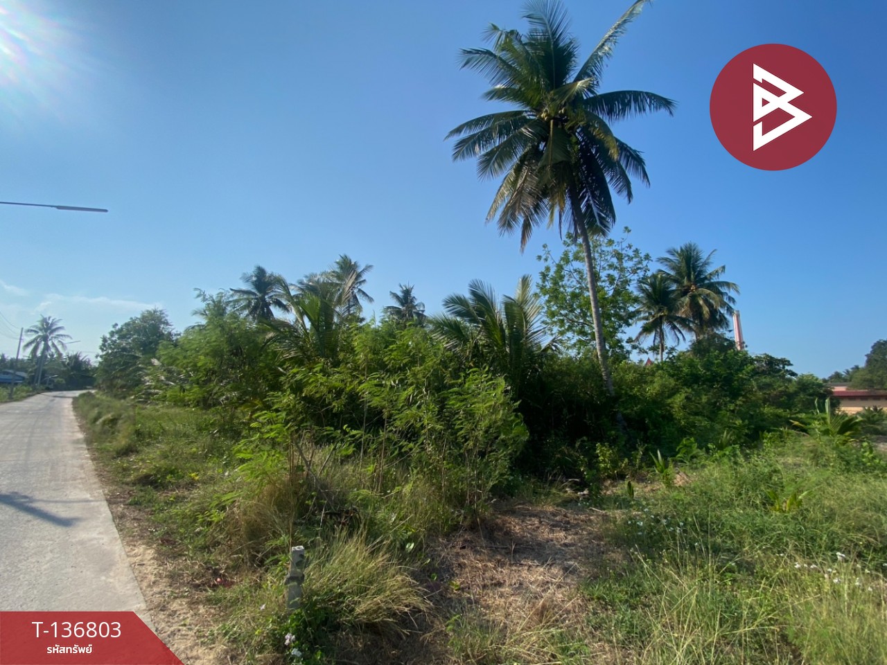 ขายที่ดินเปล่า เนื้อที่ 1 งาน 96.9 ตารางวา อัมพวา สมุทรสงคราม 5