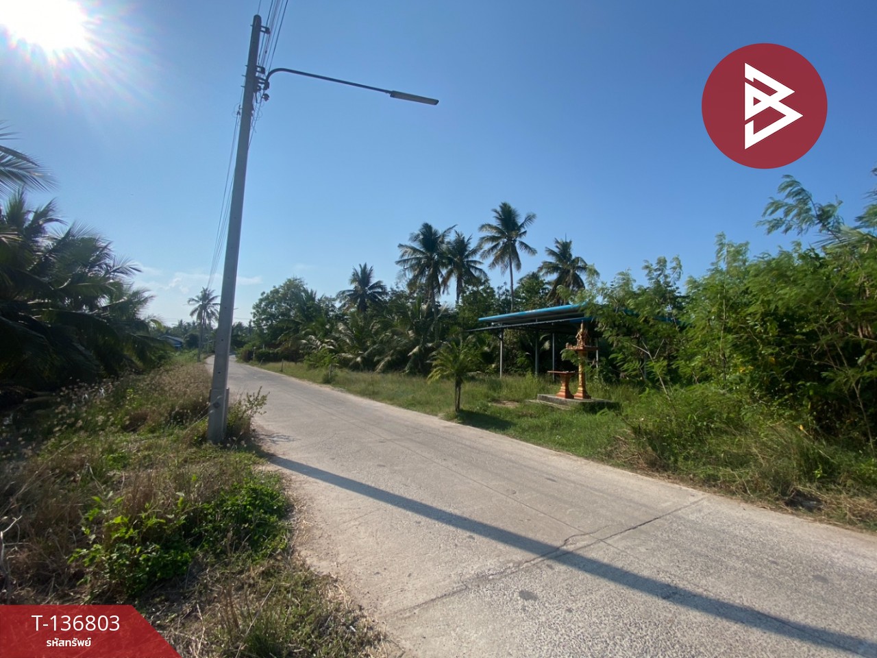 ขายที่ดินเปล่า เนื้อที่ 1 งาน 96.9 ตารางวา อัมพวา สมุทรสงคราม 6