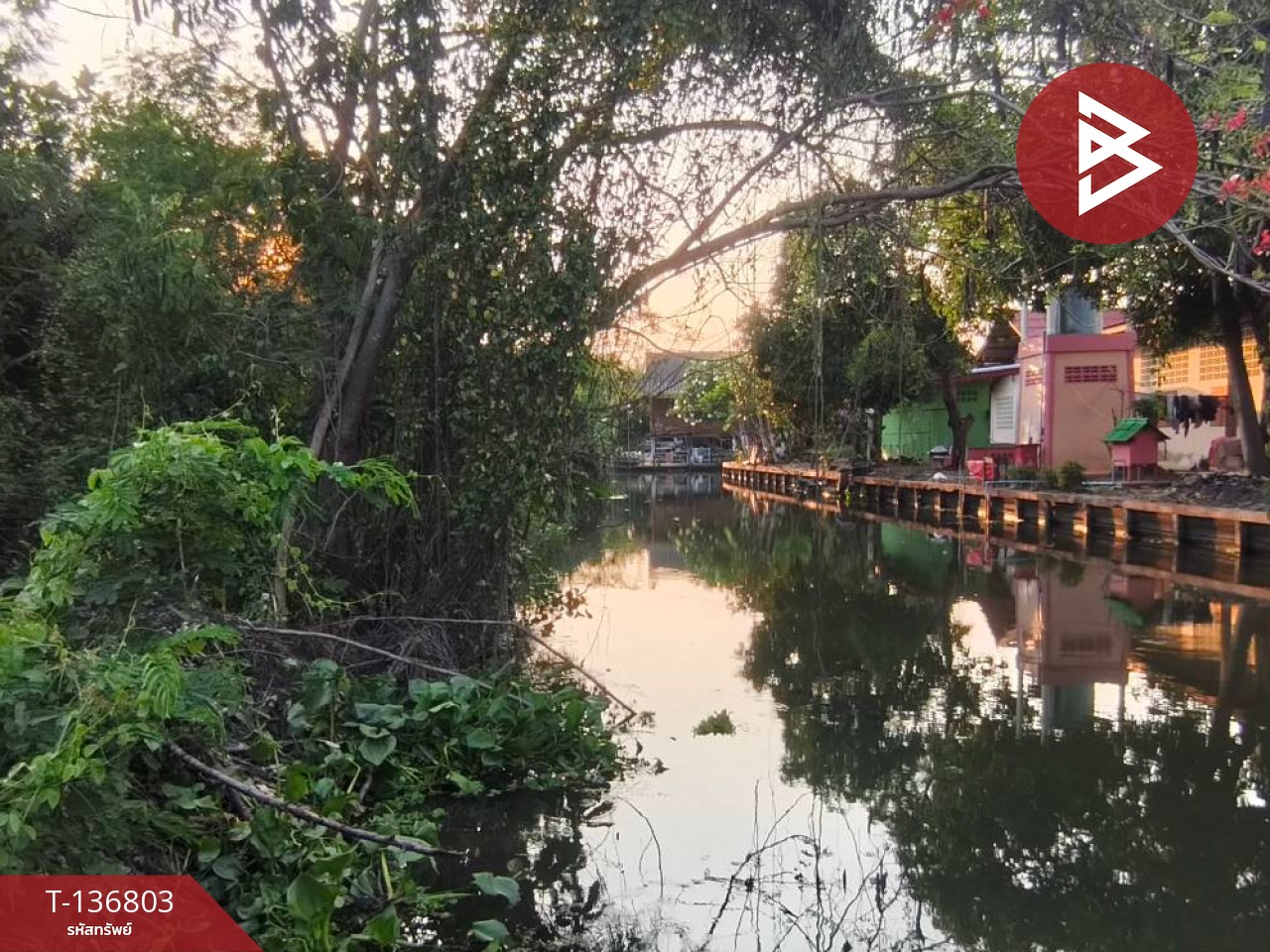 ขายที่ดินเปล่า เนื้อที่ 1 งาน 96.9 ตารางวา อัมพวา สมุทรสงคราม 14