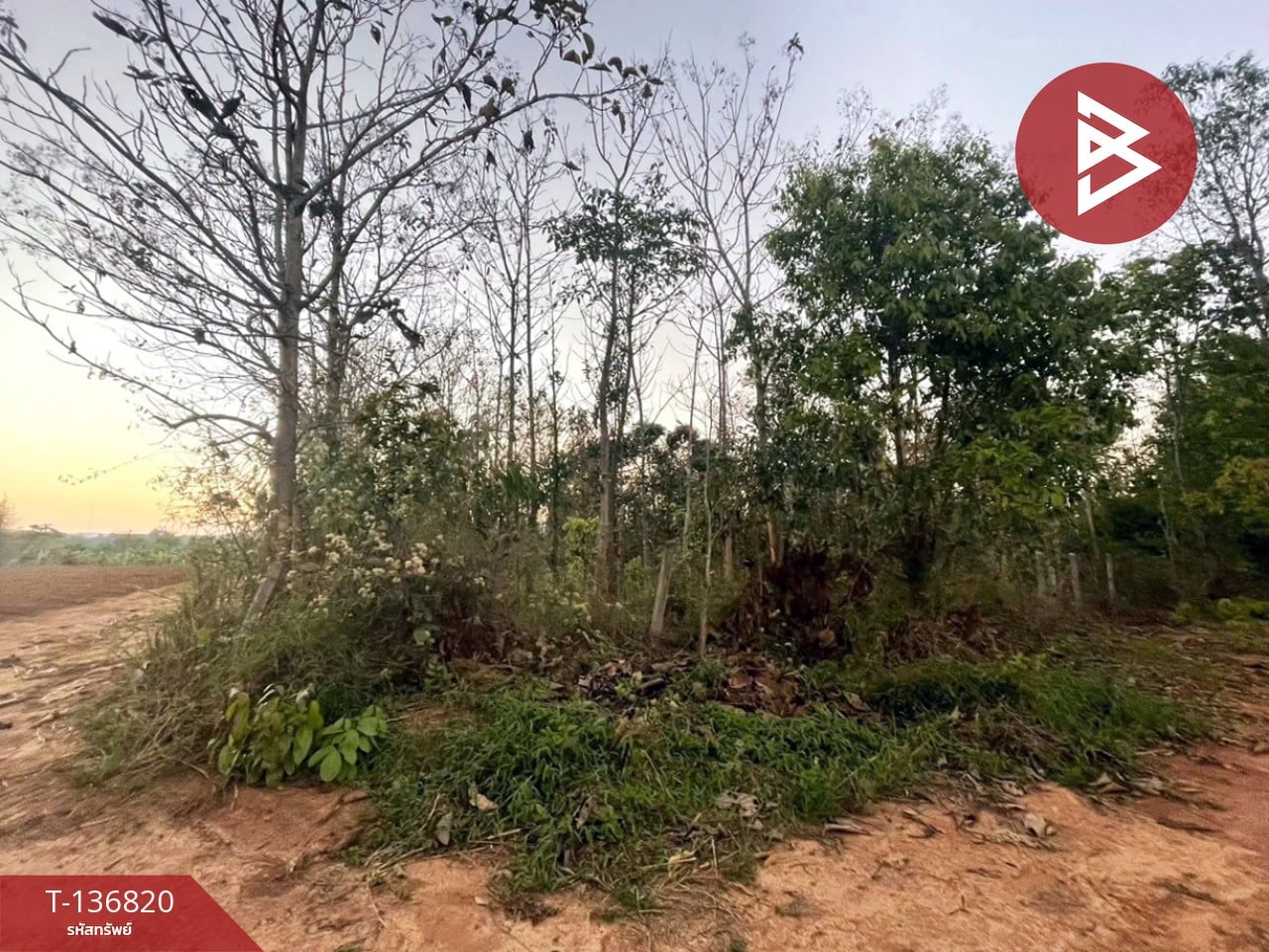 ขายที่ดิน เนื้อที่ 1 ไร่ อ.ด่านซ้าย จังหวัดเลย 2