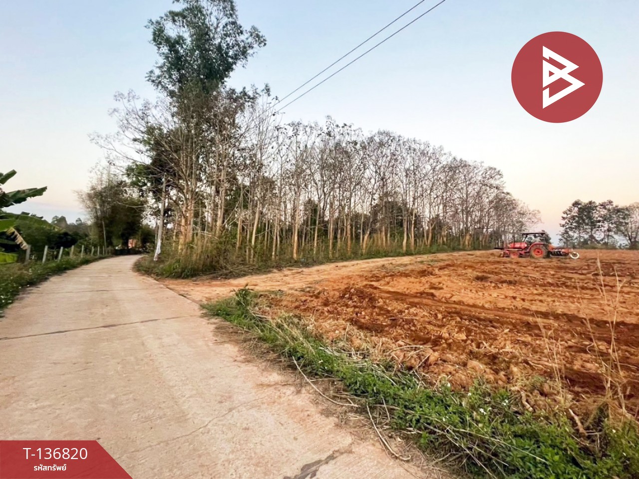 ขายที่ดิน เนื้อที่ 1 ไร่ อ.ด่านซ้าย จังหวัดเลย 1