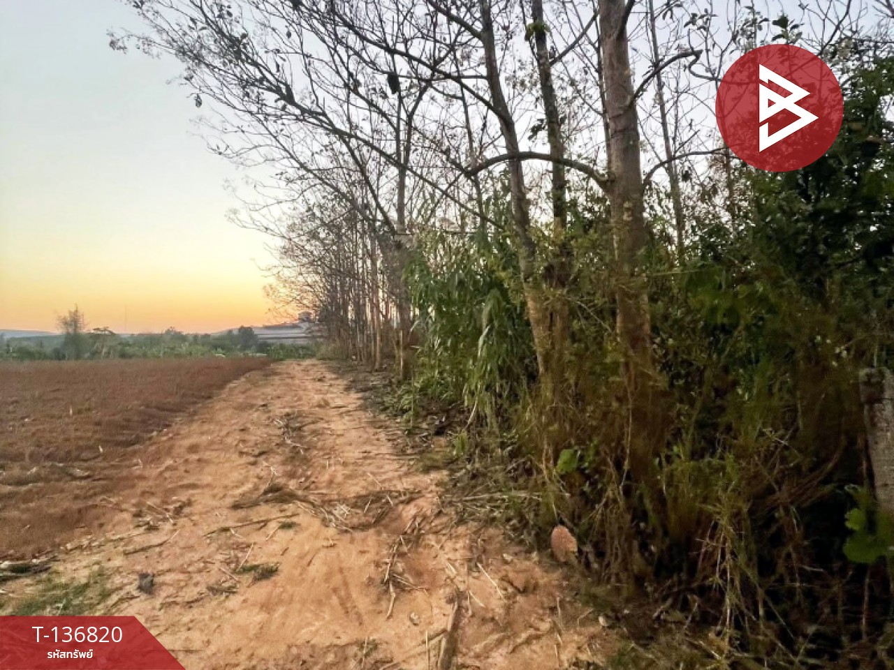 ขายที่ดิน เนื้อที่ 1 ไร่ อ.ด่านซ้าย จังหวัดเลย 4