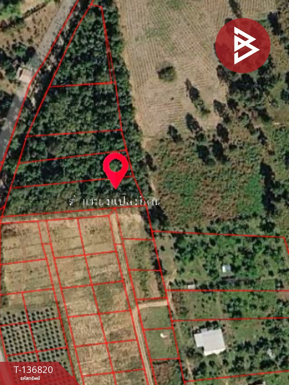 ขายที่ดิน เนื้อที่ 1 ไร่ อ.ด่านซ้าย จังหวัดเลย 7