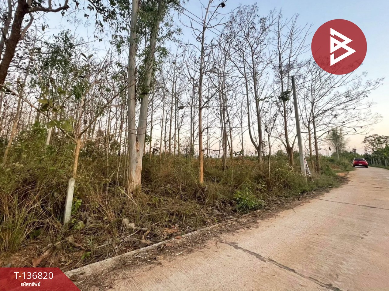 ขายที่ดิน เนื้อที่ 1 ไร่ อ.ด่านซ้าย จังหวัดเลย 5