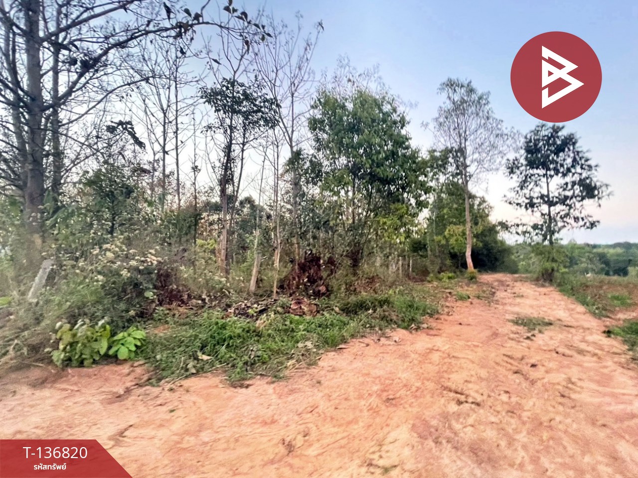 ขายที่ดิน เนื้อที่ 1 ไร่ อ.ด่านซ้าย จังหวัดเลย 3