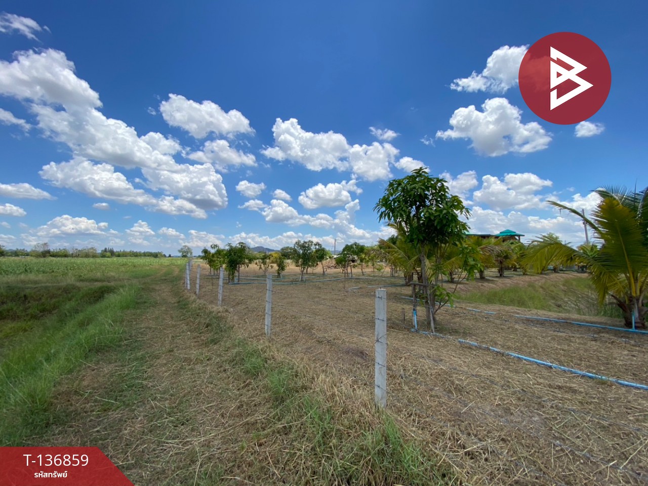 ขายที่ดิน เนื้อที่ 1 ไร่ 2 งาน จอมบึง ราชบุรี 5