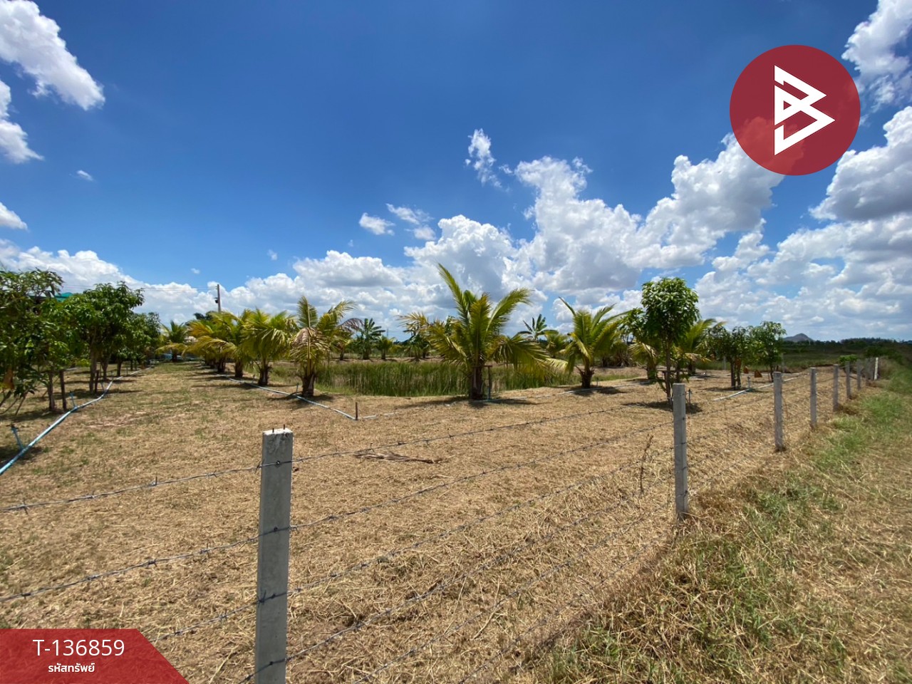 ขายที่ดิน เนื้อที่ 1 ไร่ 2 งาน จอมบึง ราชบุรี 3