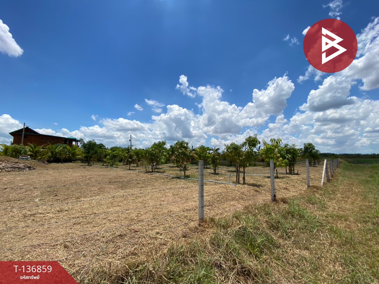 ขายที่ดิน เนื้อที่ 1 ไร่ 2 งาน จอมบึง ราชบุรี 7