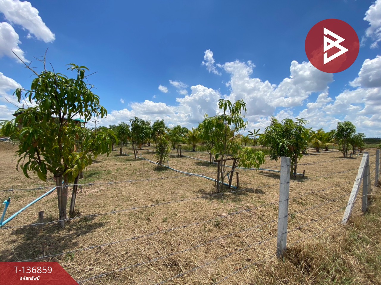 ขายที่ดิน เนื้อที่ 1 ไร่ 2 งาน จอมบึง ราชบุรี 1