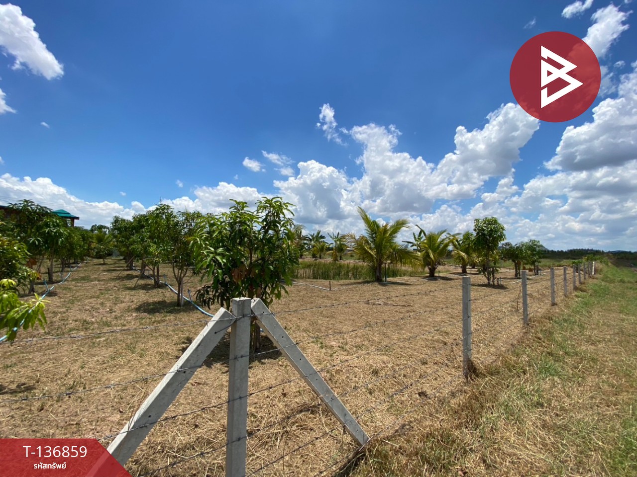 ขายที่ดิน เนื้อที่ 1 ไร่ 2 งาน จอมบึง ราชบุรี 6