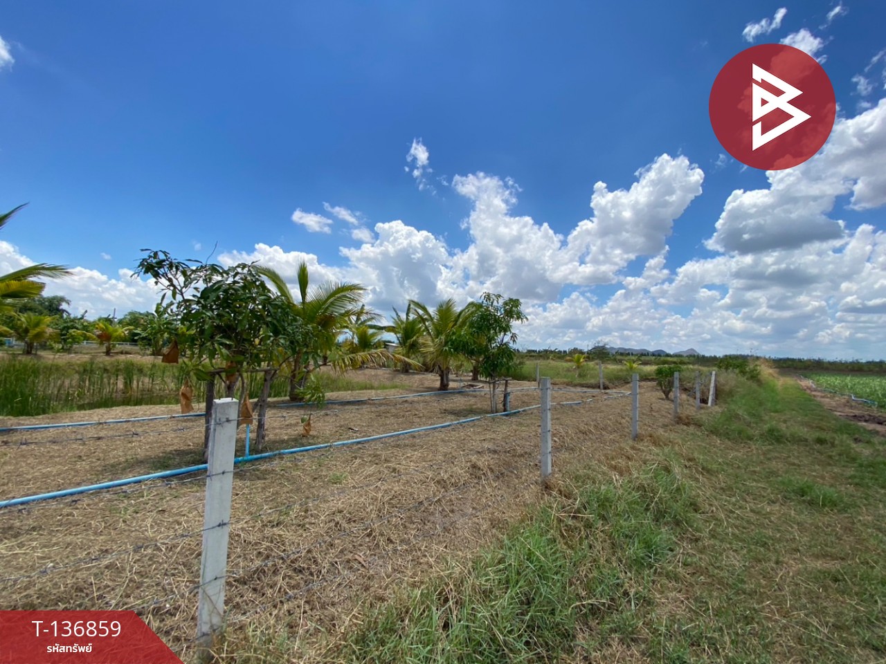 ขายที่ดิน เนื้อที่ 1 ไร่ 2 งาน จอมบึง ราชบุรี 4