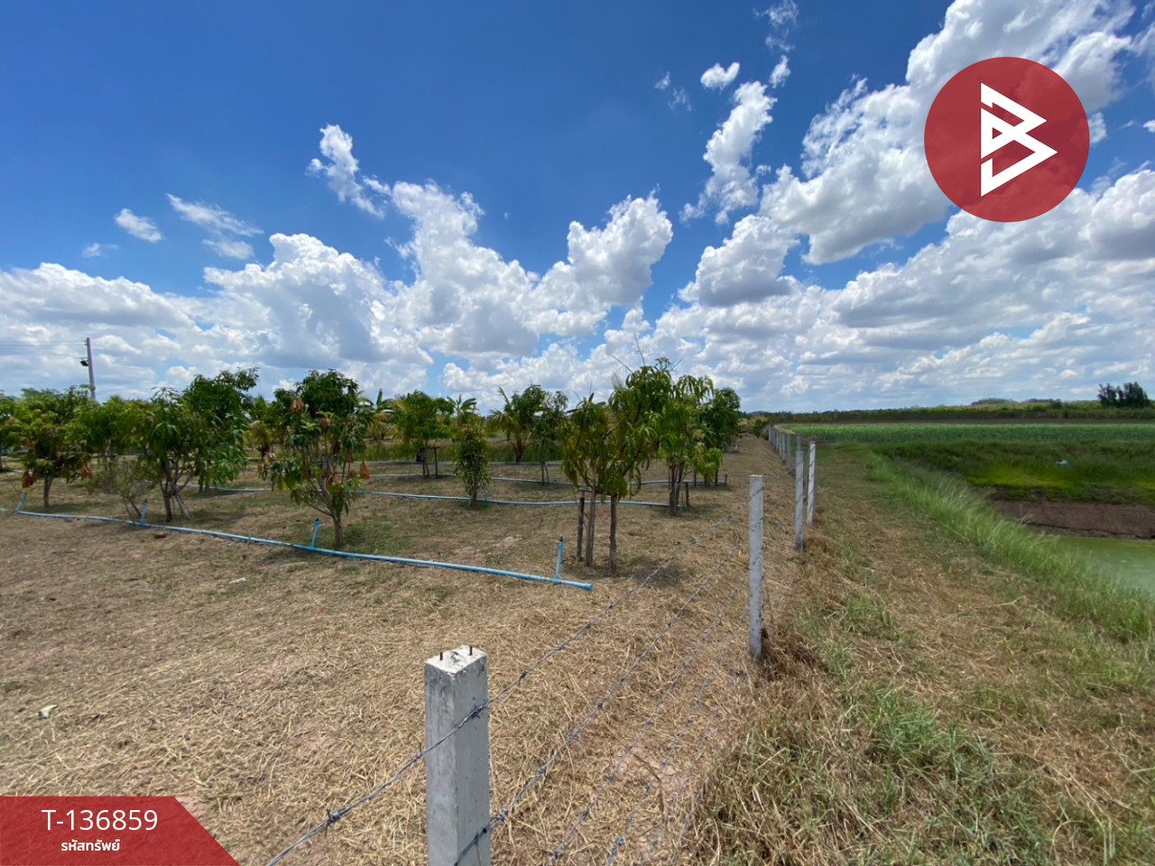 ขายที่ดิน เนื้อที่ 1 ไร่ 2 งาน จอมบึง ราชบุรี 2