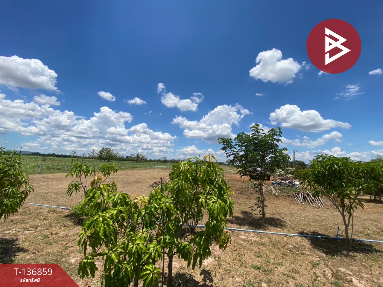 ขายที่ดิน เนื้อที่ 1 ไร่ 2 งาน จอมบึง ราชบุรี 10