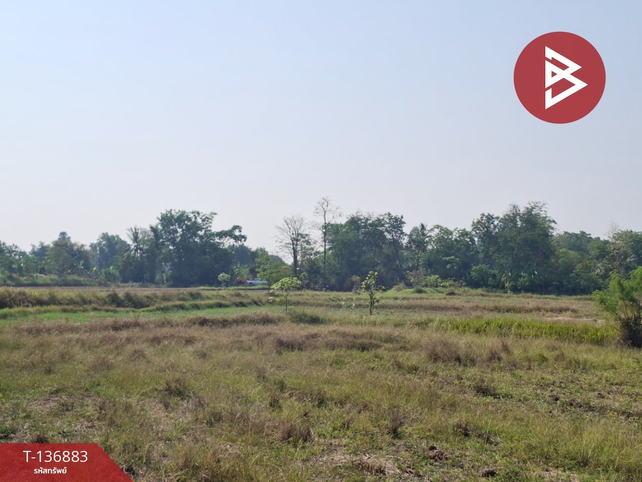 ขายที่ดิน เนื้อที่ 4 ไร่ อ.คง นครราชสีมา 1