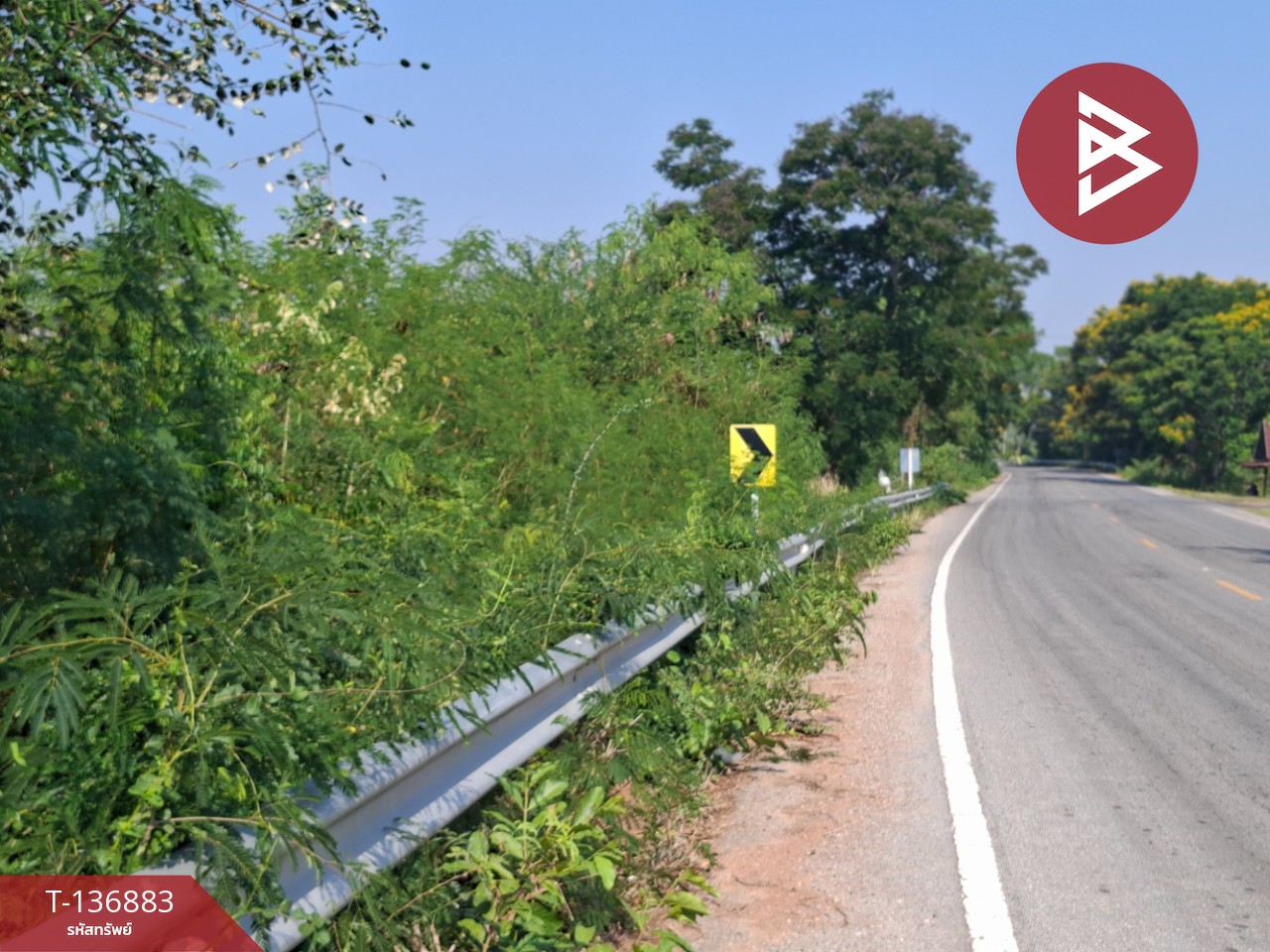 ขายที่ดิน เนื้อที่ 4 ไร่ อ.คง นครราชสีมา 5