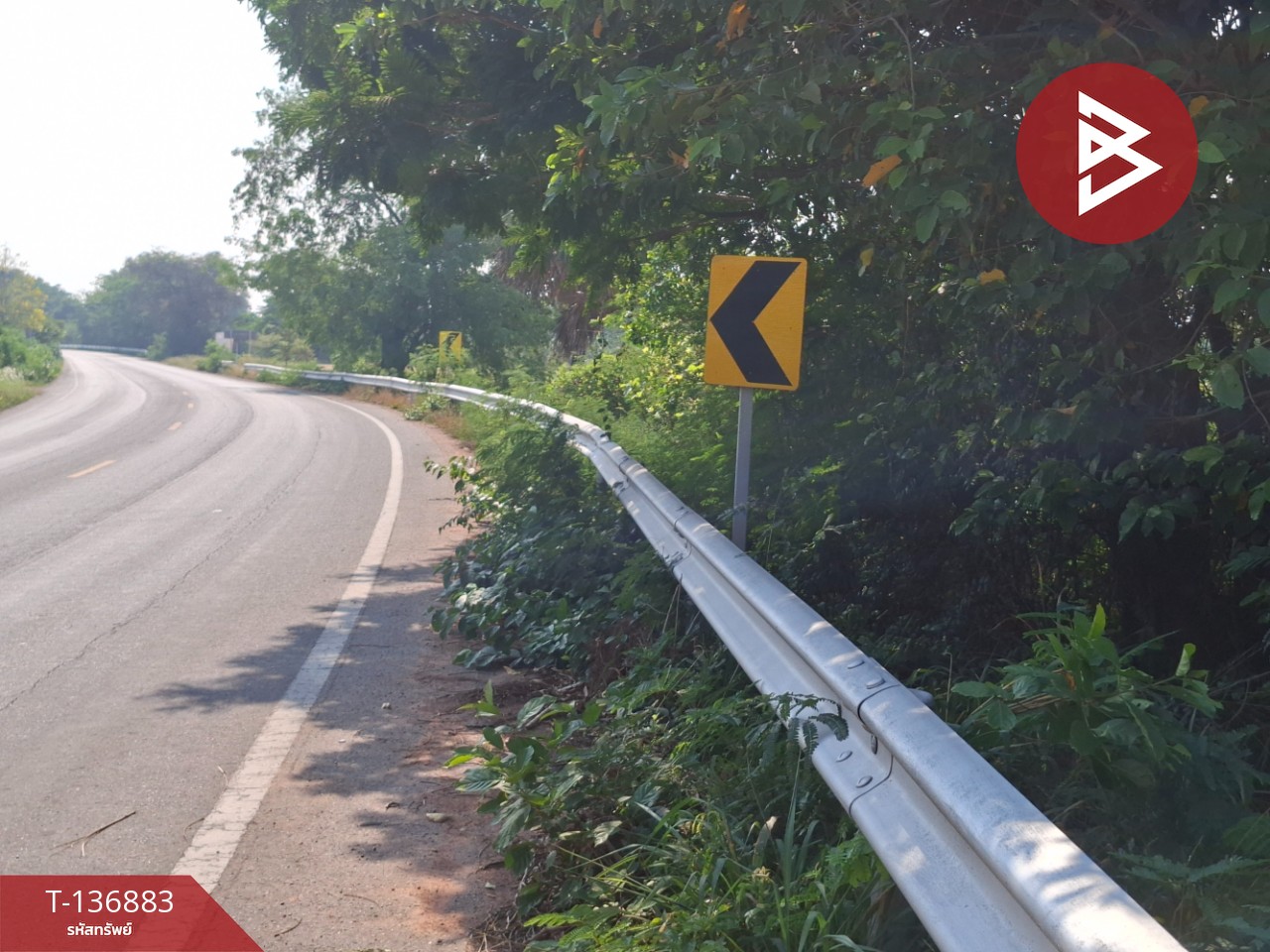 ขายที่ดิน เนื้อที่ 4 ไร่ อ.คง นครราชสีมา 14