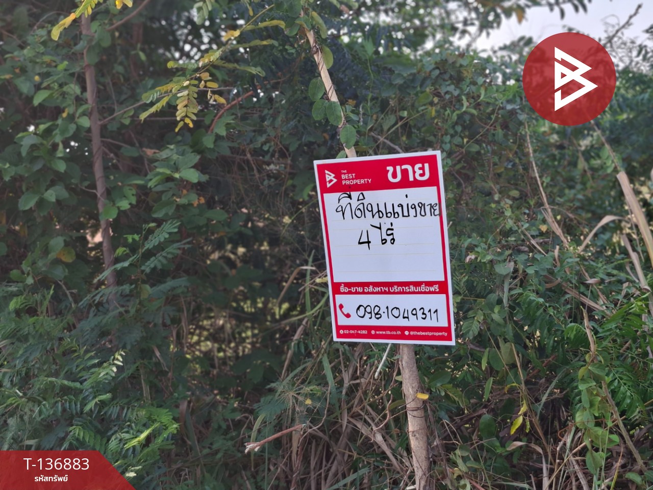 ขายที่ดิน เนื้อที่ 4 ไร่ อ.คง นครราชสีมา 3