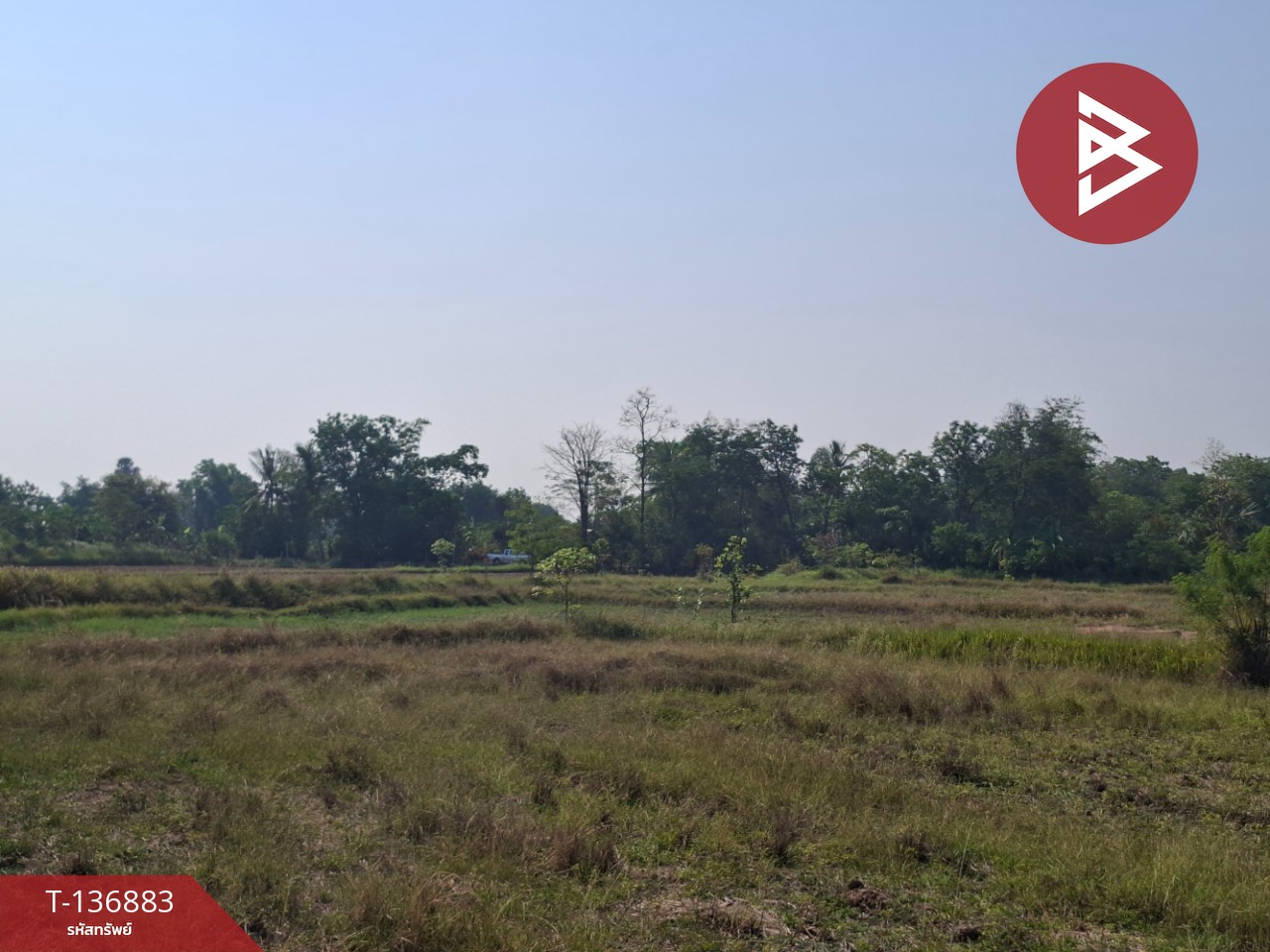 ขายที่ดิน เนื้อที่ 4 ไร่ อ.คง นครราชสีมา 11