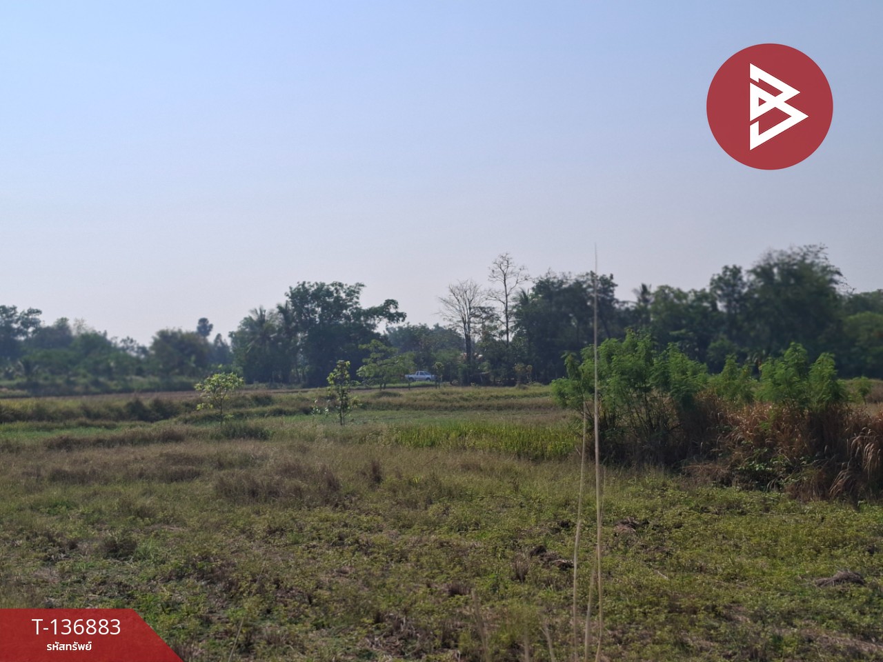 ขายที่ดิน เนื้อที่ 4 ไร่ อ.คง นครราชสีมา 10