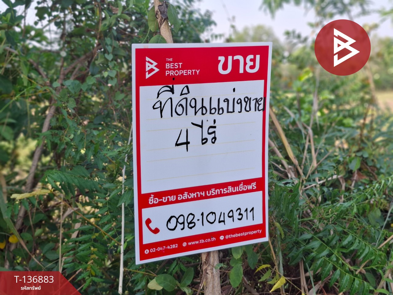 ขายที่ดิน เนื้อที่ 4 ไร่ อ.คง นครราชสีมา 2