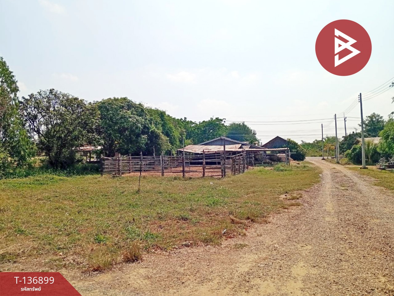 ขายอพาร์ทเม้นท์ชั้นเดียว เนื้อที่ 2 งาน กำแพงแสน นครปฐม 12